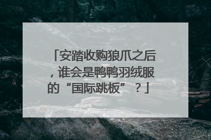 安踏收购狼爪之后，谁会是鸭鸭羽绒服的“国际跳板”？