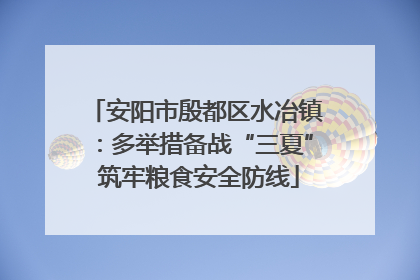 安阳市殷都区水冶镇：多举措备战“三夏” 筑牢粮食安全防线
