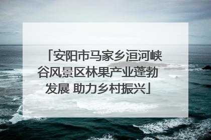 安阳市马家乡洹河峡谷风景区林果产业蓬勃发展 助力乡村振兴
