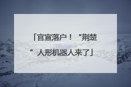 官宣落户！“荆楚”人形机器人来了