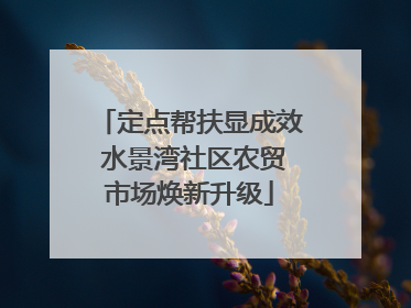 定点帮扶显成效 水景湾社区农贸市场焕新升级