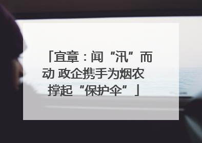 宜章：闻“汛”而动 政企携手为烟农撑起“保护伞”