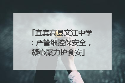 宜宾高县文江中学：严管细控保安全，凝心聚力护食安