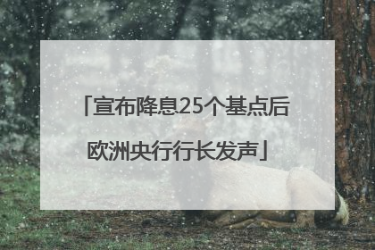 宣布降息25个基点后 欧洲央行行长发声