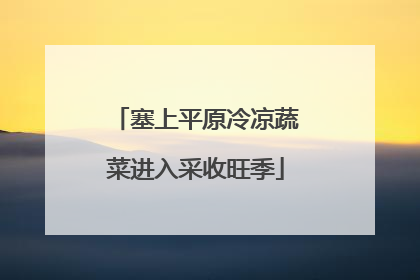 塞上平原冷凉蔬菜进入采收旺季