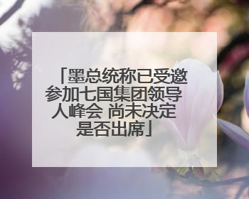 墨总统称已受邀参加七国集团领导人峰会 尚未决定是否出席