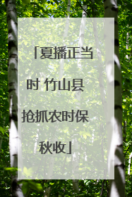 夏播正当时 竹山县抢抓农时保秋收