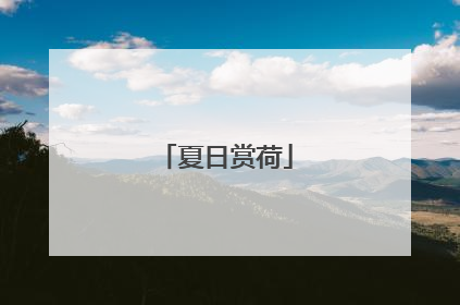 夏日赏荷