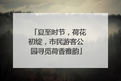 夏至时节，荷花初绽，市民游客公园寻觅荷香雅韵