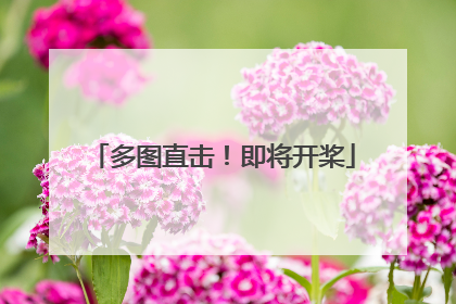 多图直击！即将开桨