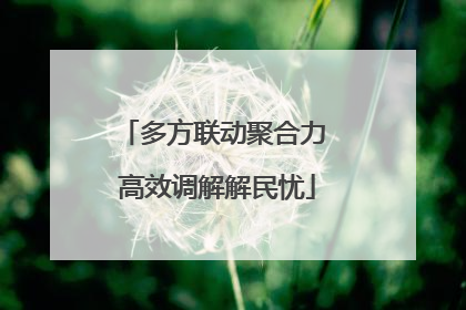 多方联动聚合力 高效调解解民忧