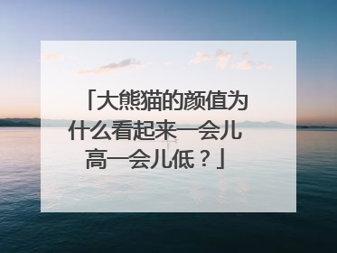 大熊猫的颜值为什么看起来一会儿高一会儿低？