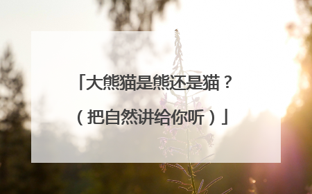 大熊猫是熊还是猫？（把自然讲给你听）