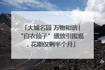 大城名园 万物和谐│“白衣仙子”盛放引围观，花期仅剩半个月