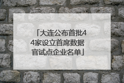 大连公布首批44家设立首席数据官试点企业名单