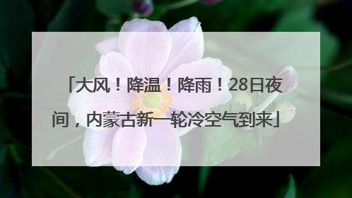 大风！降温！降雨！28日夜间，内蒙古新一轮冷空气到来