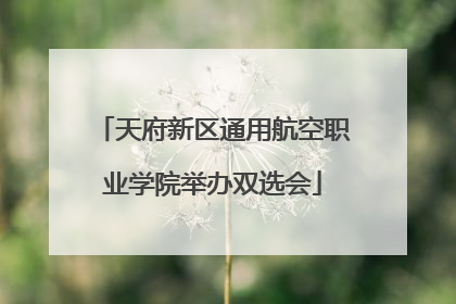 天府新区通用航空职业学院举办双选会