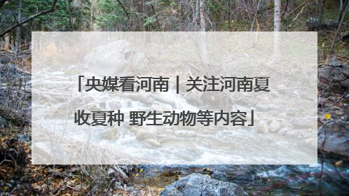央媒看河南｜关注河南夏收夏种 野生动物等内容