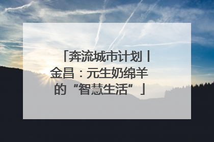 奔流城市计划丨金昌：元生奶绵羊的“智慧生活”