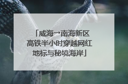 威海→南海新区 高铁半小时穿越网红地标与秘境海岸