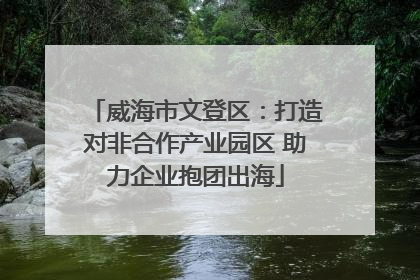 威海市文登区：打造对非合作产业园区 助力企业抱团出海