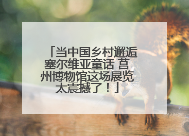 当中国乡村邂逅塞尔维亚童话 莒州博物馆这场展览太震撼了！