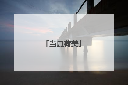当夏荷美