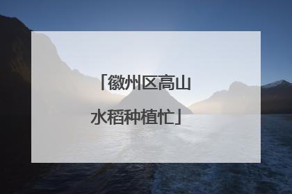 徽州区高山水稻种植忙