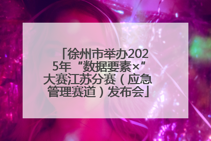 徐州市举办2025年“数据要素×”大赛江苏分赛（应急管理赛道）发布会