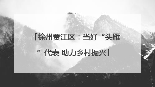 徐州贾汪区：当好“头雁”代表 助力乡村振兴