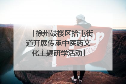 徐州鼓楼区拾屯街道开展传承中医药文化主题研学活动