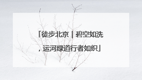 徒步北京｜碧空如洗，运河绿道行者如织