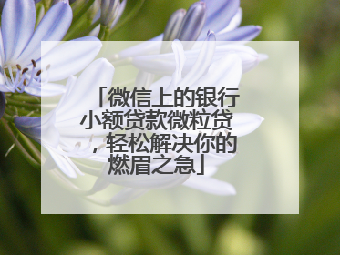 微信上的银行小额贷款微粒贷，轻松解决你的燃眉之急