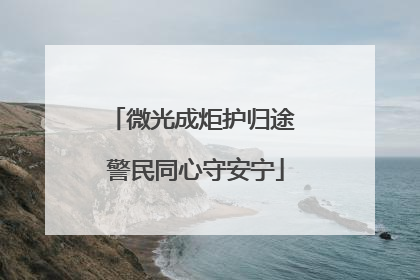 微光成炬护归途 警民同心守安宁