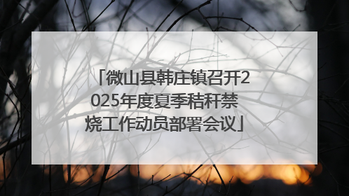 微山县韩庄镇召开2025年度夏季秸秆禁烧工作动员部署会议
