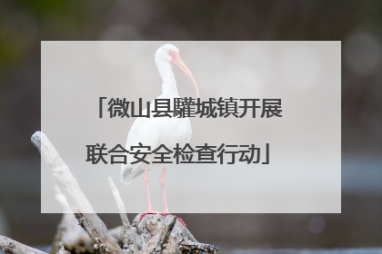 微山县驩城镇开展联合安全检查行动