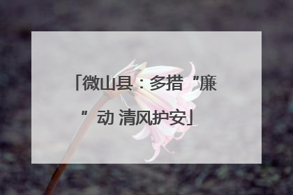 微山县：多措“廉”动 清风护安