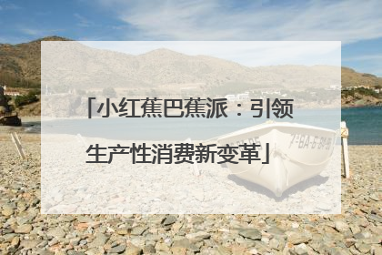 小红蕉巴蕉派：引领生产性消费新变革
