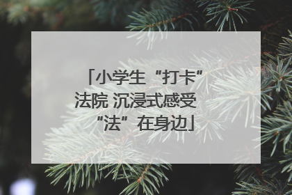 小学生“打卡”法院 沉浸式感受“法”在身边