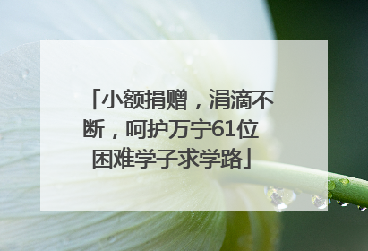 小额捐赠，涓滴不断，呵护万宁61位困难学子求学路
