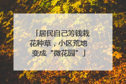 居民自己筹钱栽花种草，小区荒地变成“微花园”