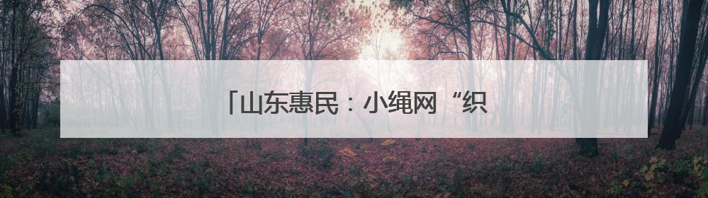 山东惠民：小绳网“织”出乡村振兴新图景
