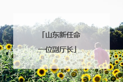 山东新任命一位副厅长