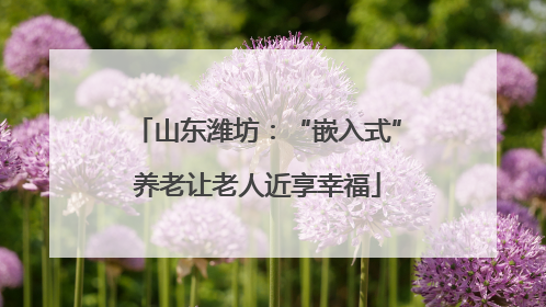 山东潍坊：“嵌入式”养老让老人近享幸福