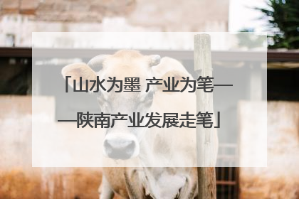 山水为墨 产业为笔——陕南产业发展走笔