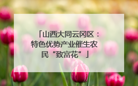 山西大同云冈区：特色优势产业催生农民“致富花”
