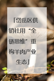 岱岳区供销社用“全链思维”重构羊肉产业生态
