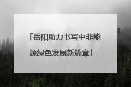 岳阳助力书写中非能源绿色发展新篇章