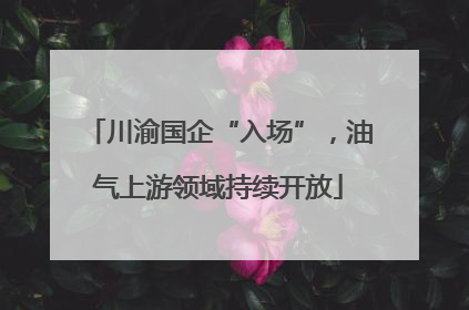 川渝国企“入场”，油气上游领域持续开放