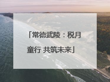 常德武陵：税月童行 共筑未来